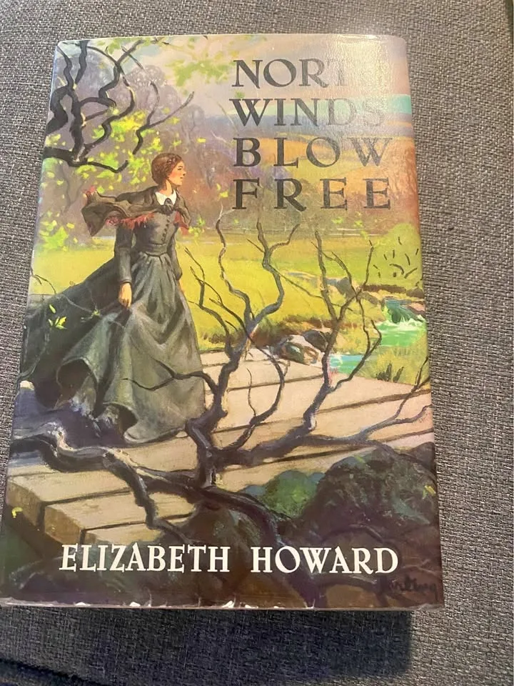 Vintage Novels - 2 Books thumbnail