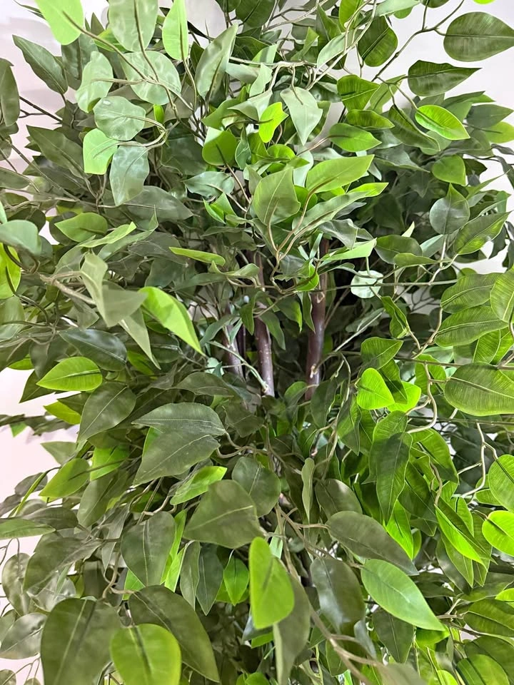 Large Artificial Ficus Tree