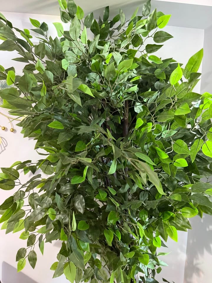 Large Artificial Ficus Tree - photo 3