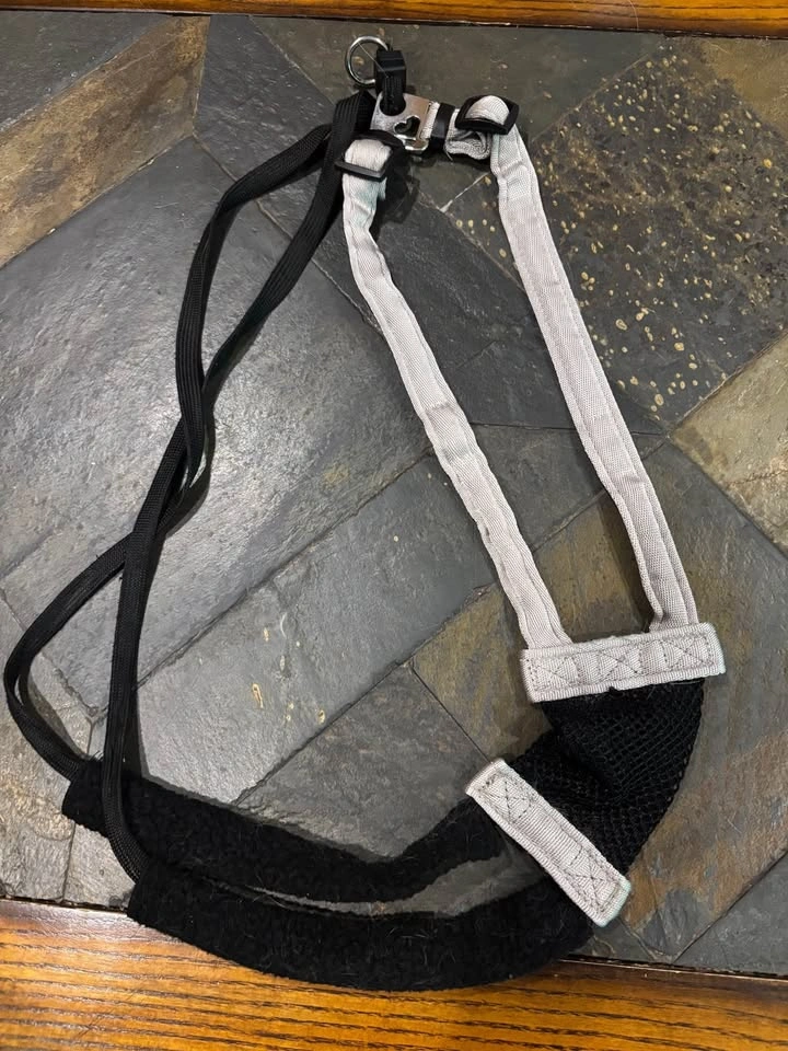 Dog Adjustable Harness Med/Lg