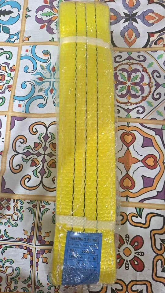 3000kg 2M Webbing Sling