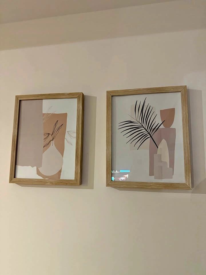 Set of 2 Minimalist Botanical Framed Art Prints