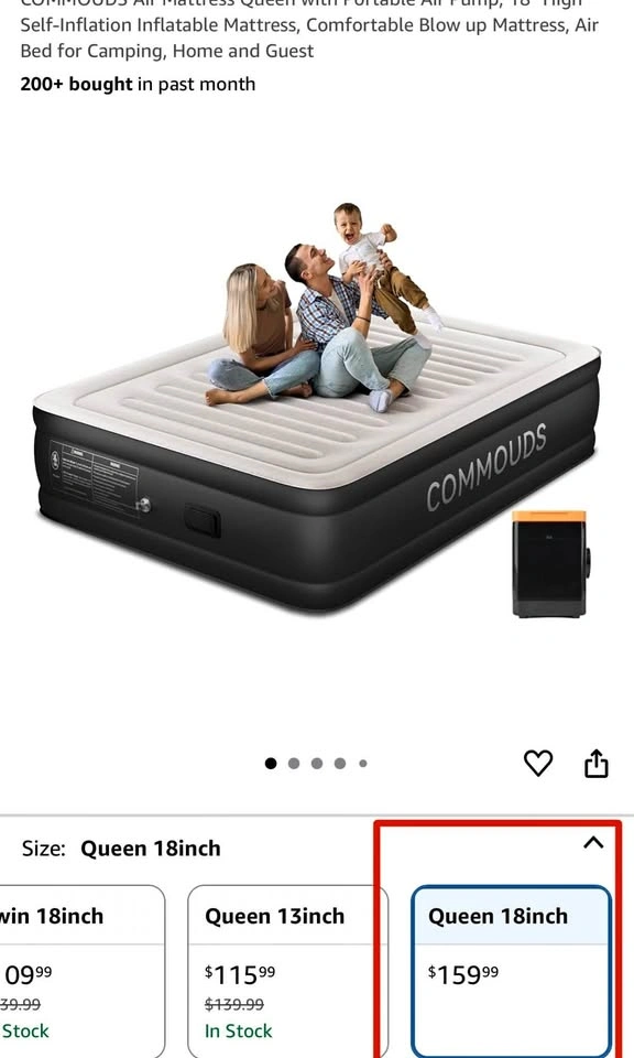 Air mattress (queen)