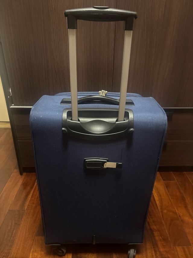 Princess Traveller Luggage - photo 2