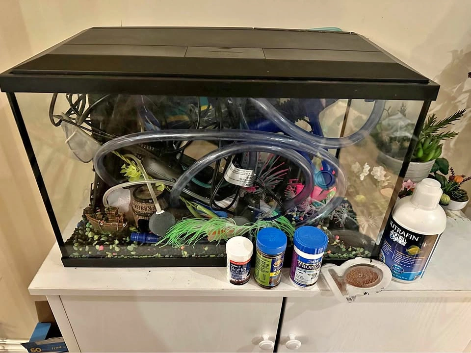 Blacklight LED 10gl Tank