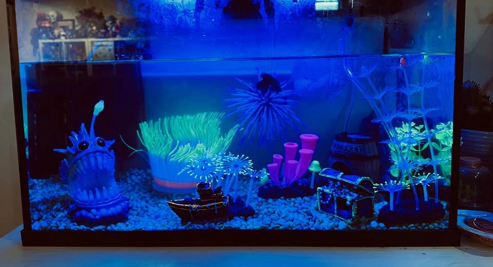 Blacklight LED 10gl Tank - photo 3
