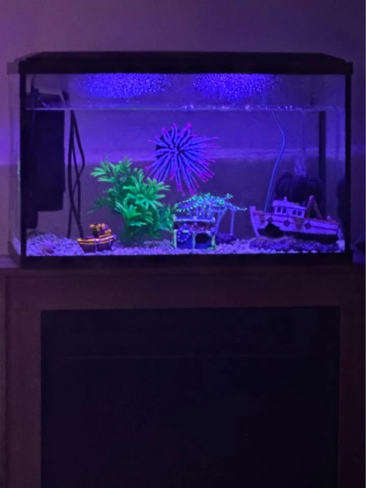 Blacklight LED 10gl Tank - photo 4