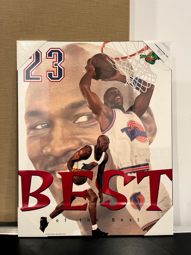 Michael Jordan Space Jam/Toon Squad Hardboard Poster (Sealed)