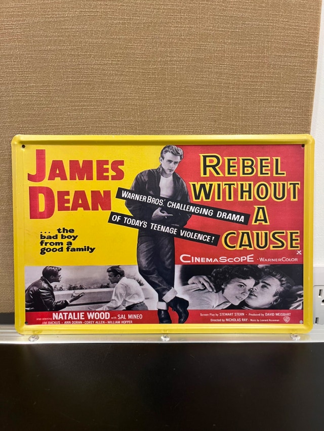 James Dean Rebel Without A Cause Metal Poster