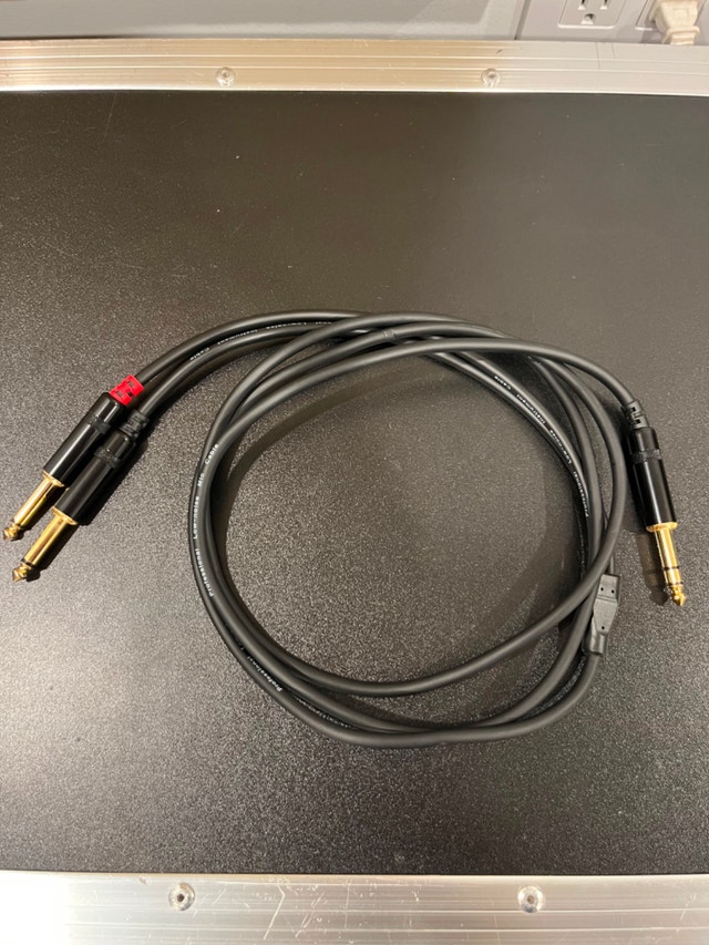 1/4 Inch TRS To Dual 1/4 Inch 6 Foot Insert Cable