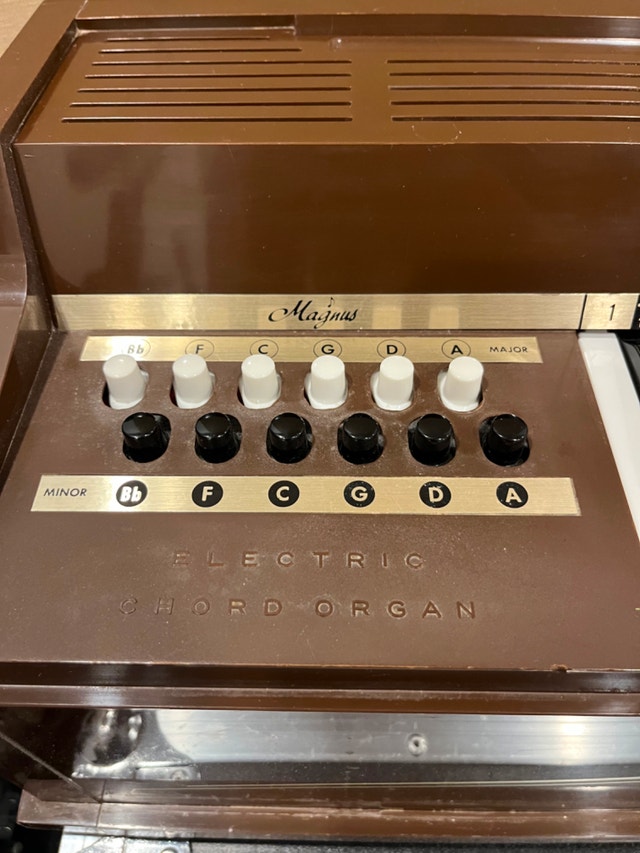 Magnus Electric Chord Organ (Air Organ) - photo 2