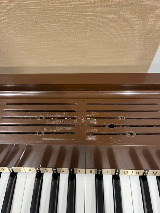 Magnus Electric Chord Organ (Air Organ) - photo 4