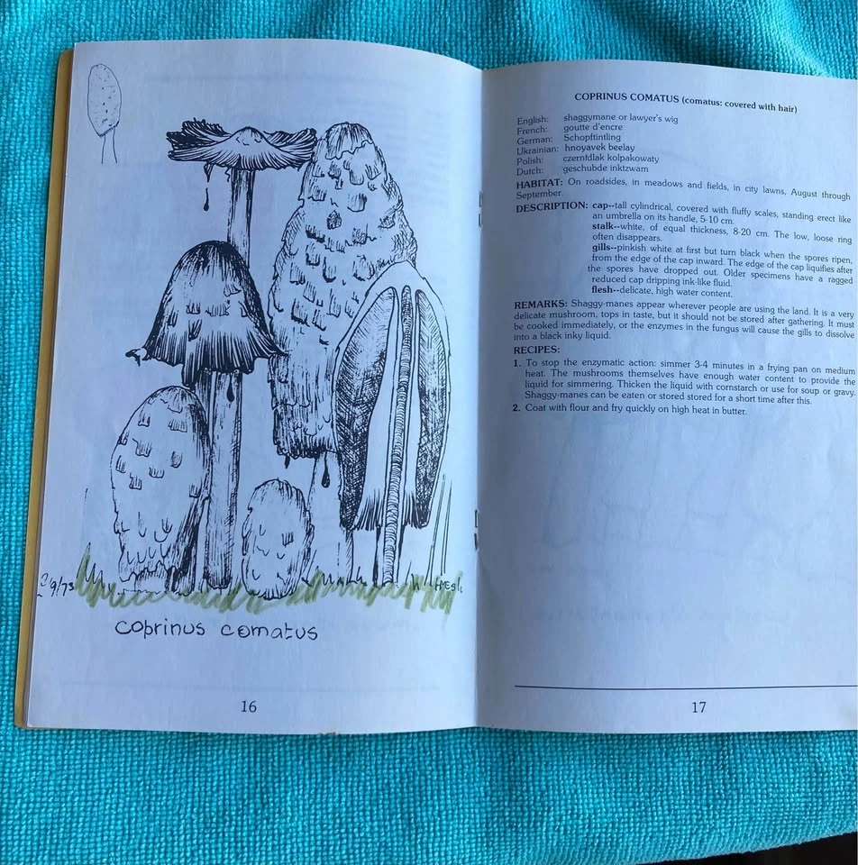 Vintage Alberta Mushroom Field Guide Bundle - Helene Schalkwy - photo 3