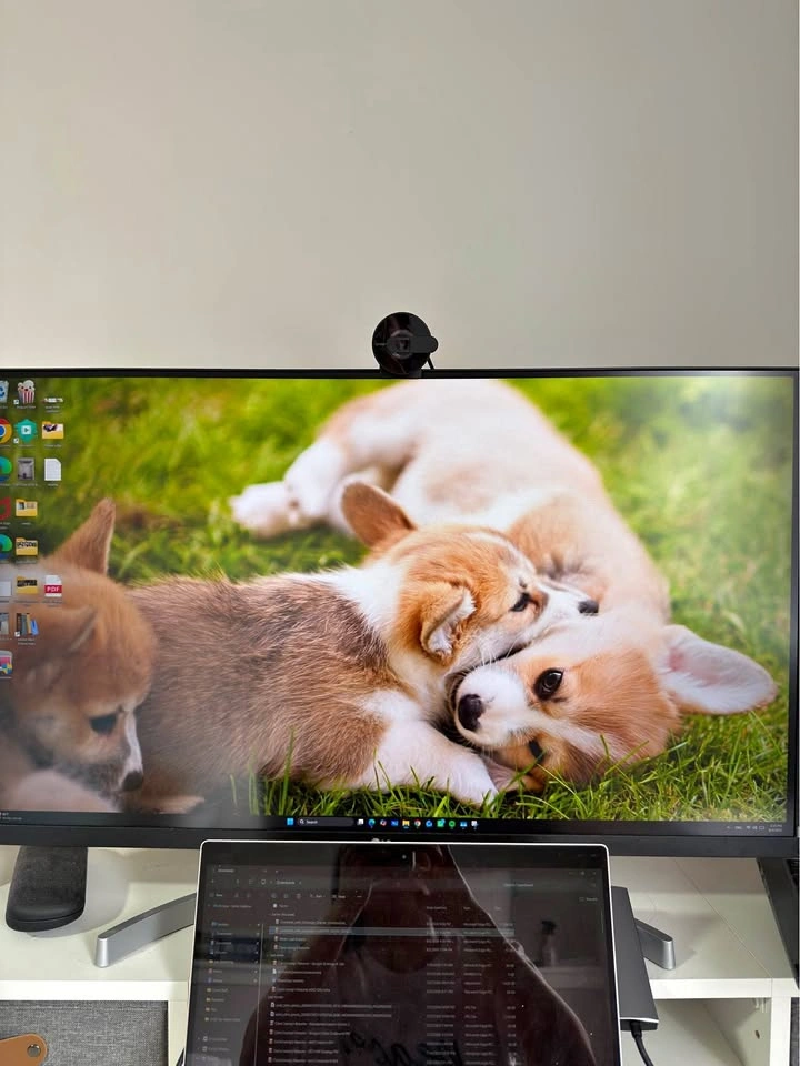 32” LG 4K UHD IPS Monitor