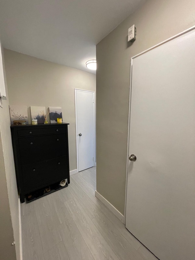 Room for rent in a 2 bed 1 bath apartment - photo 3