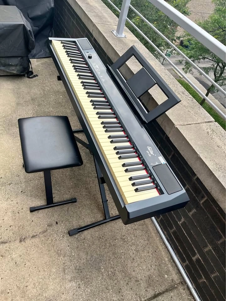 Eastar EP-120 88-Key Weighted Digital Piano + Stand, Bench & Cov