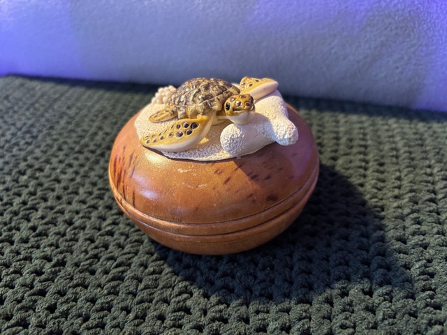 Vintage Wooden and Bakelite Turtle Keepsake Box - Thailand - photo 2
