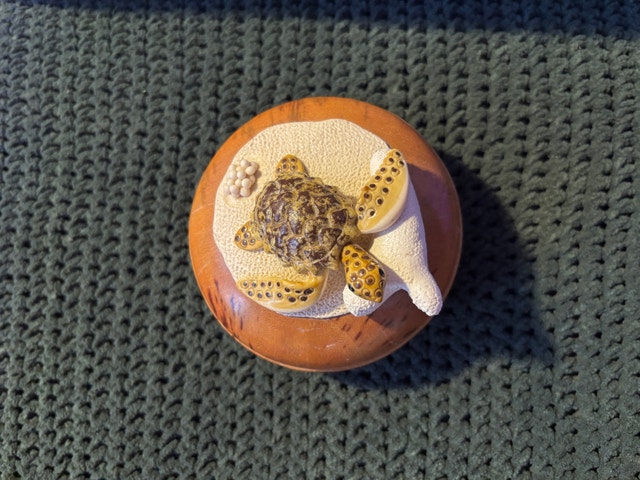 Vintage Wooden and Bakelite Turtle Keepsake Box - Thailand - photo 3