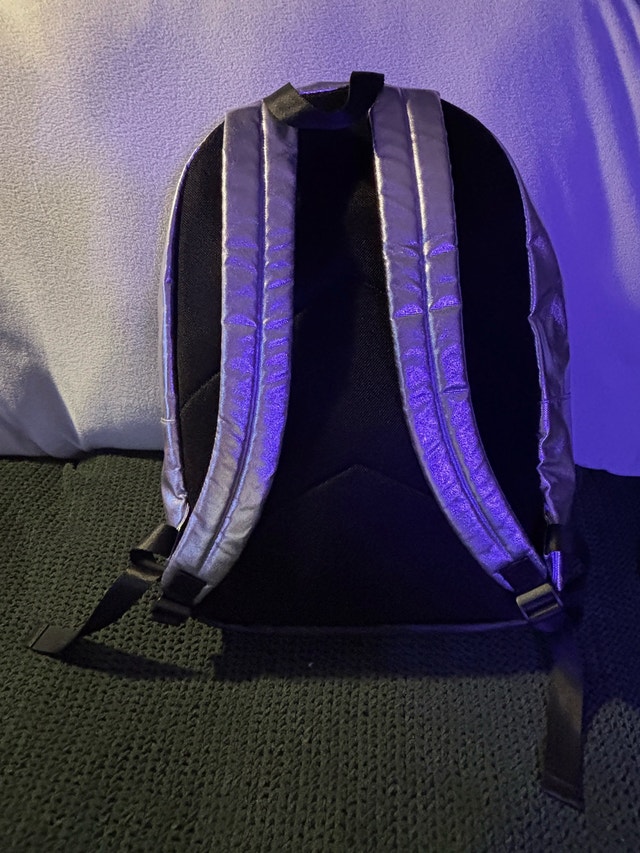 Converse Chuck Taylor Backpack - Silver Metallic - photo 2