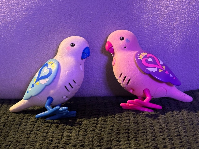 Little Live Pets Bird Pair