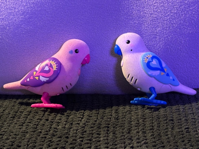 Little Live Pets Bird Pair - photo 2