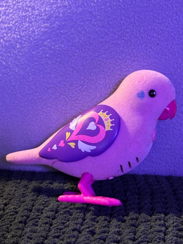 Little Live Pets Bird Pair - photo 5