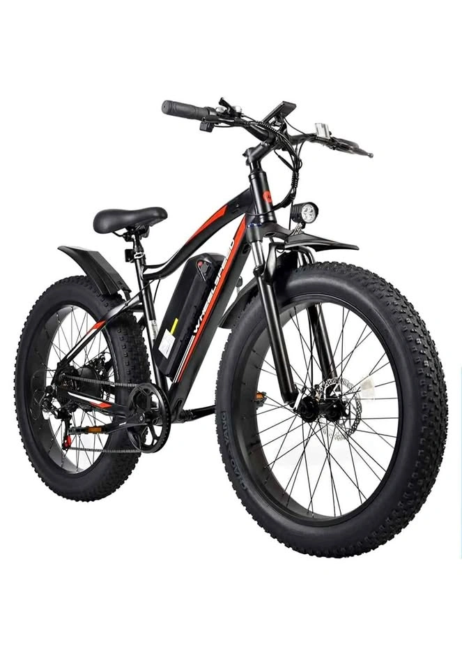 Wheelspeed 26" Electric Bike 500W 48V Removable Battery