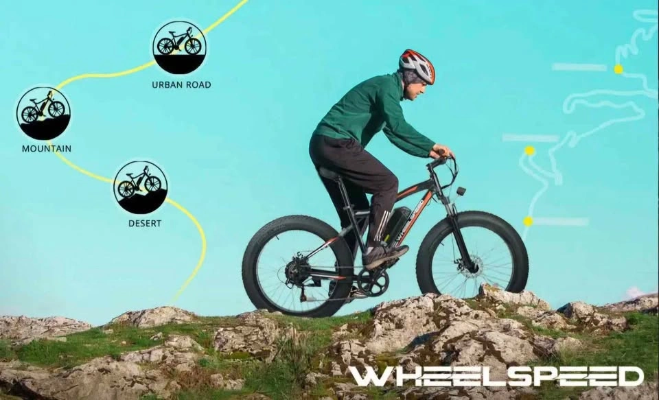 Wheelspeed 26" Electric Bike 500W 48V Removable Battery - photo 3