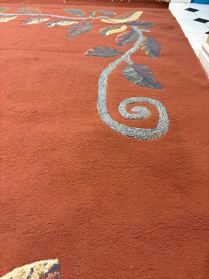 Beautiful Carpet - photo 3