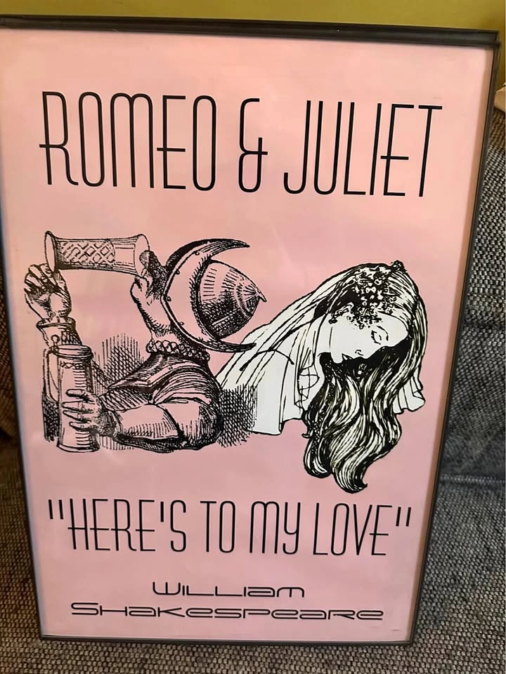 Set of 4 Framed William Shakespeare Play Posters