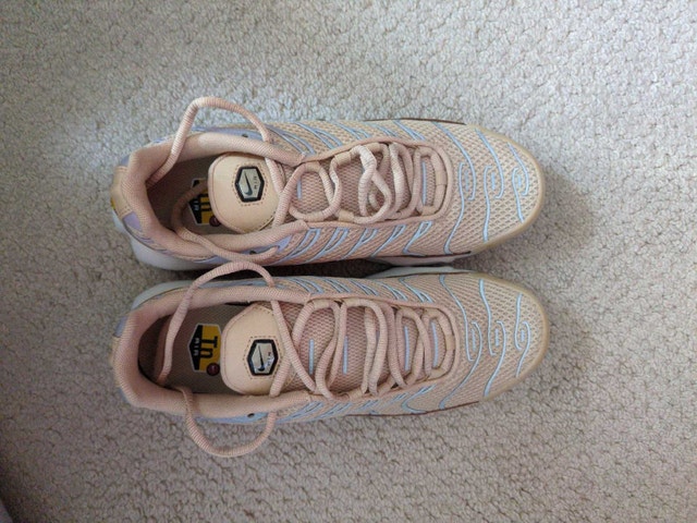 Brand New Nike Air Max Plus Tn Sesame Colour