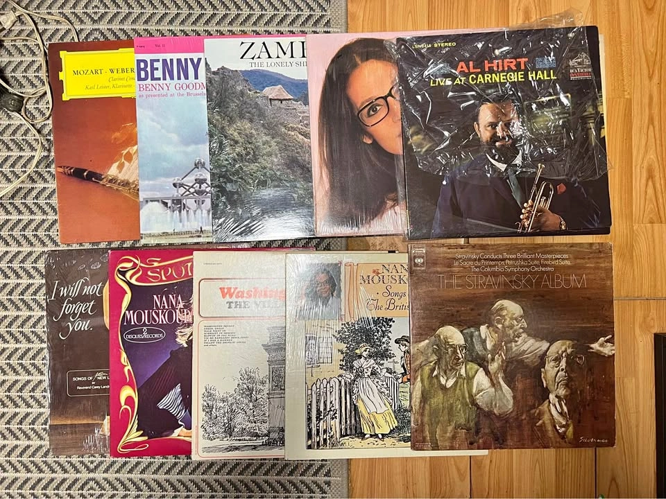 Variety of Vinyl Records