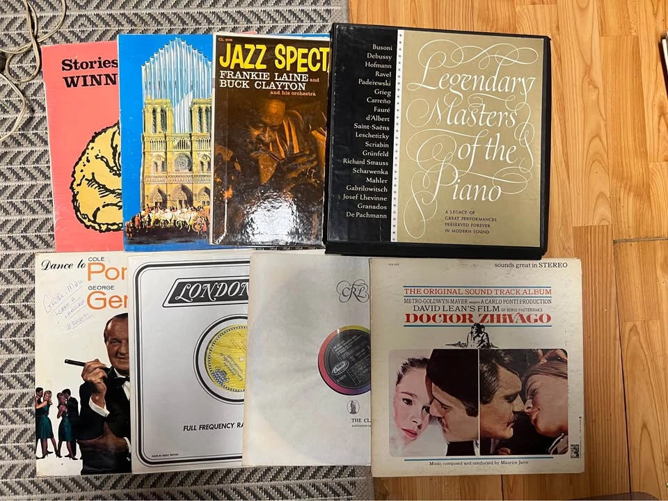 Variety of Vinyl Records - photo 2