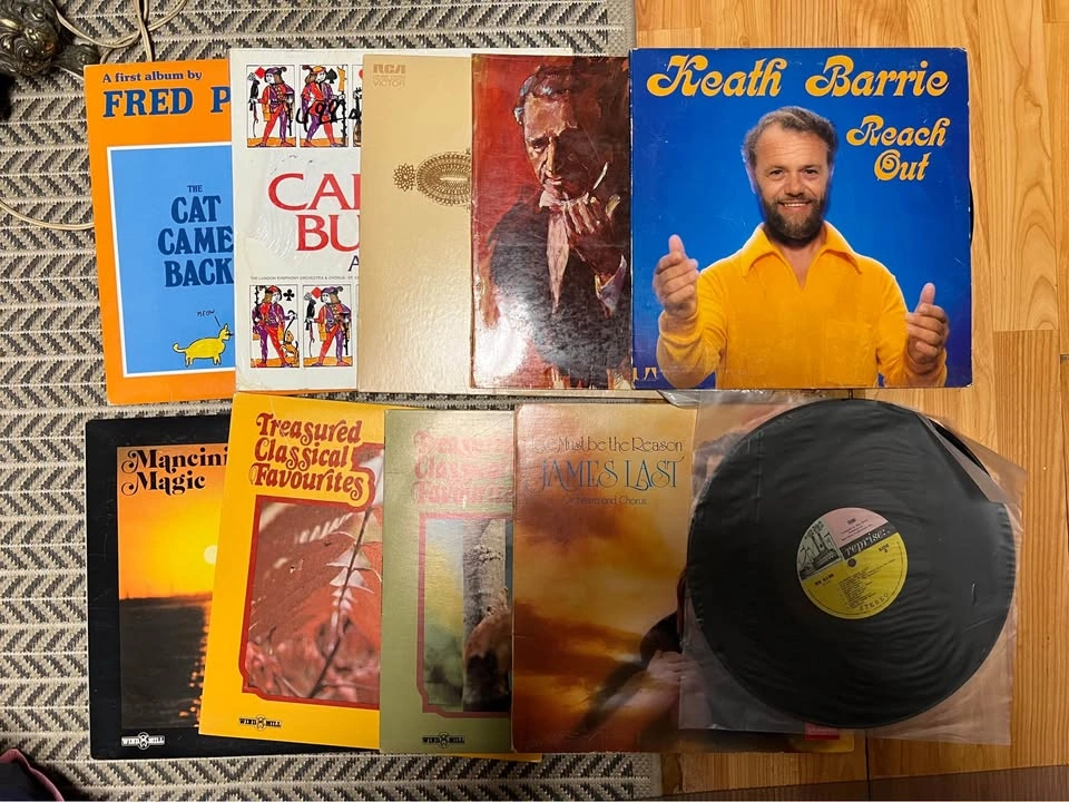 Variety of Vinyl Records - photo 3
