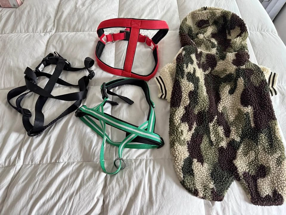 Size Large Dog Clothing Lot