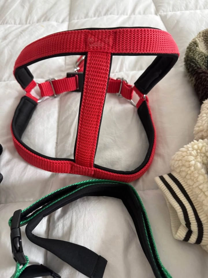 Size Large Dog Clothing Lot - photo 3