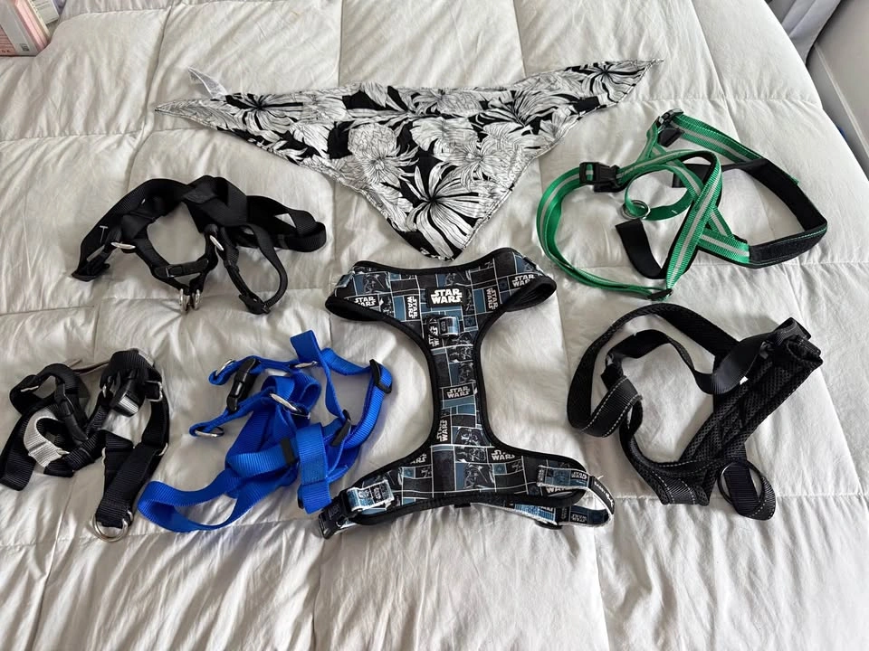 Size Large Dog Clothing Lot - Boy - Star Wars harness