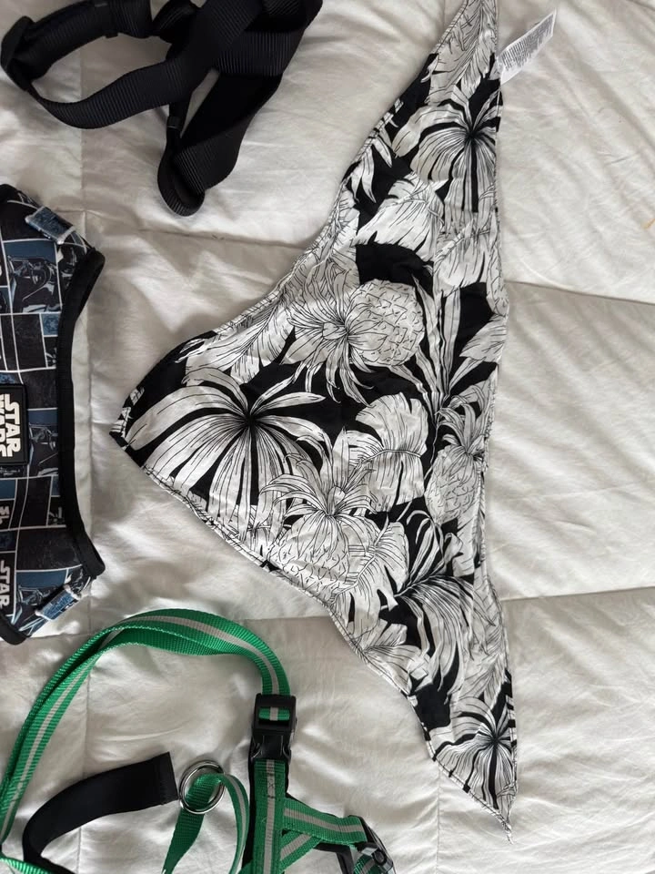 Size Large Dog Clothing Lot - Boy - Star Wars harness - photo 3