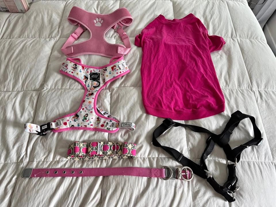 Size Large Dog Clothing Lot - Pink Disney Princess harness