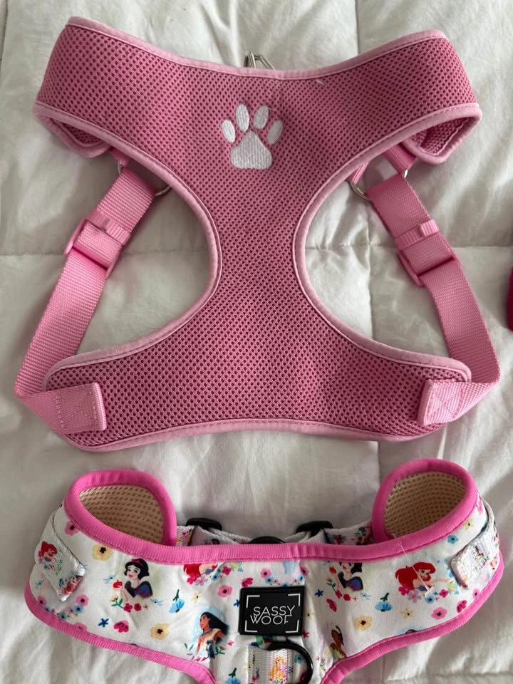 Size Large Dog Clothing Lot - Pink Disney Princess harness - photo 2