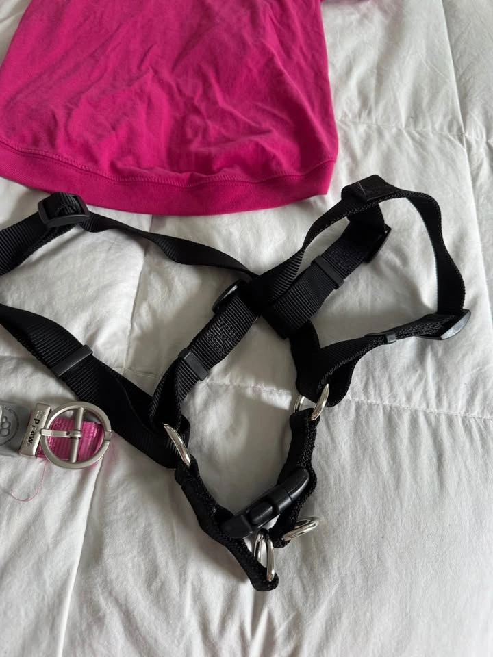 Size Large Dog Clothing Lot - Pink Disney Princess harness - photo 5