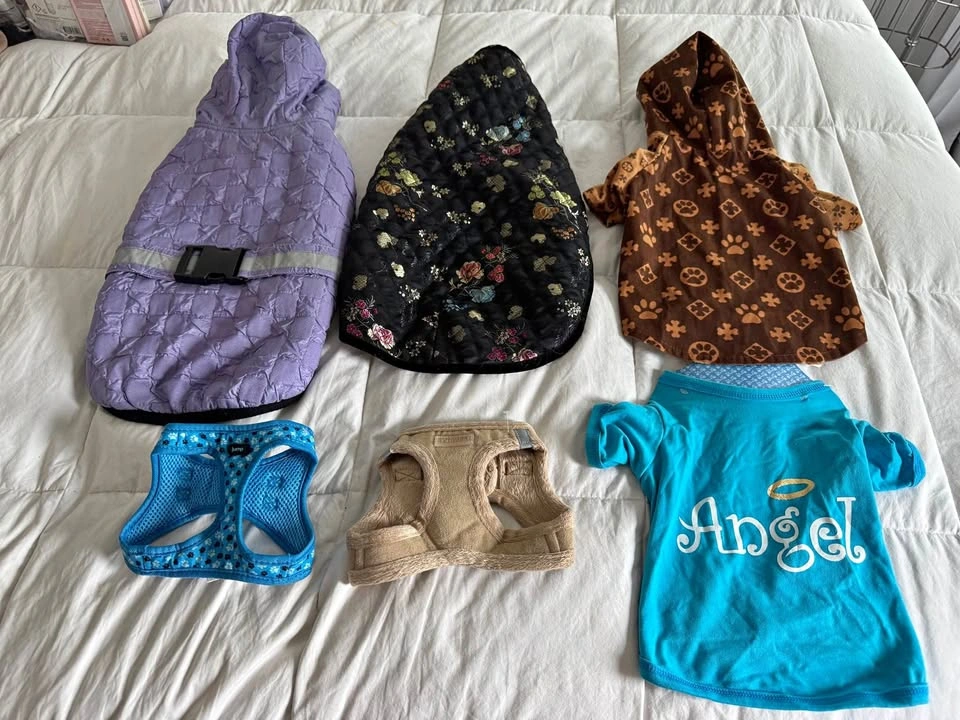 Small Dog Clothing Lot