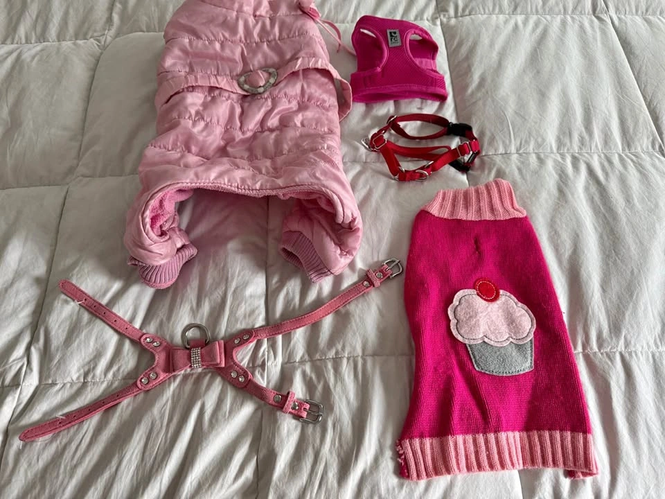 Girl Dog Clothing Lot, lots of Brand New items