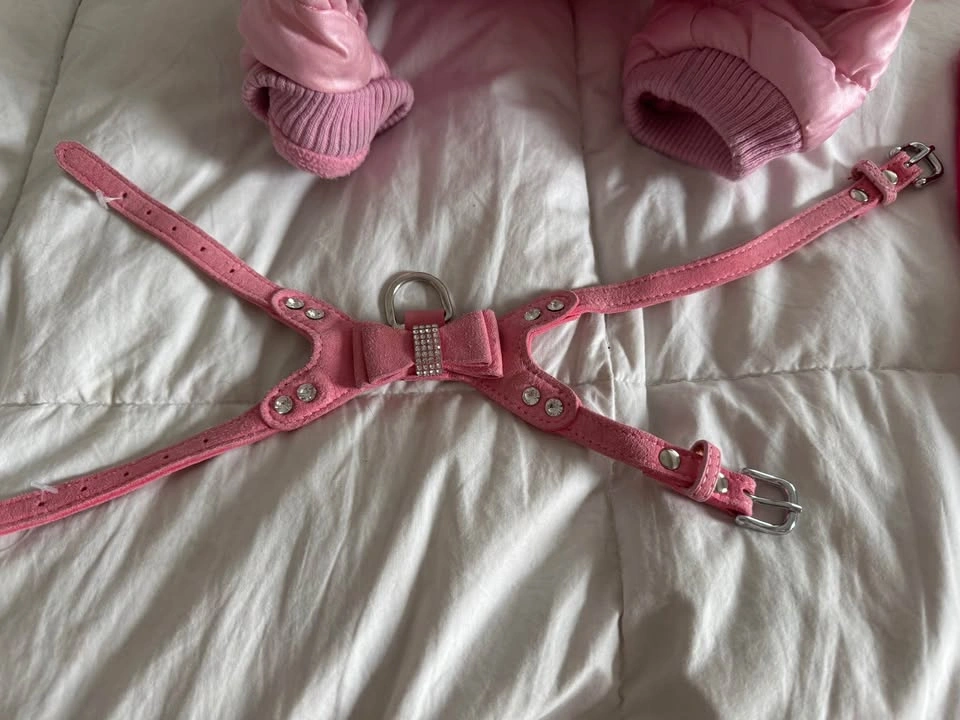 Girl Dog Clothing Lot, lots of Brand New items - photo 2