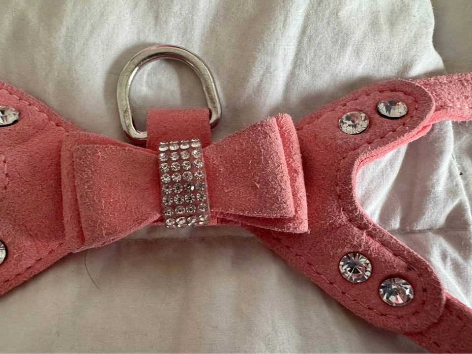 Girl Dog Clothing Lot, lots of Brand New items - photo 3