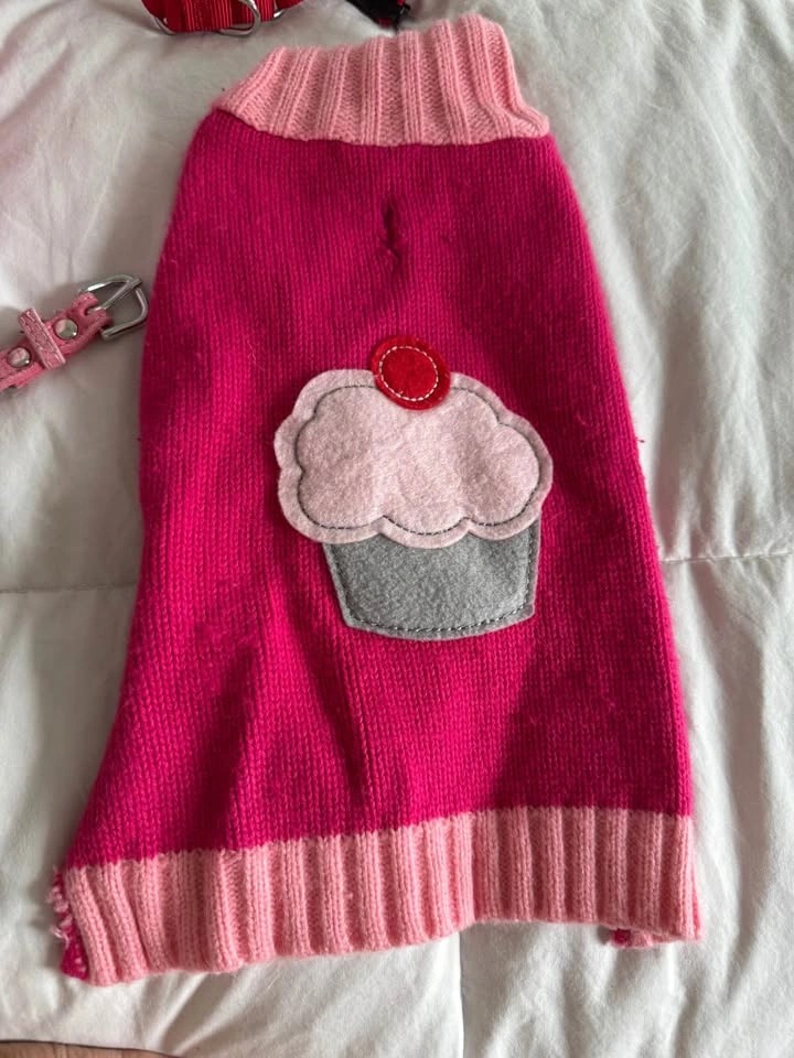 Girl Dog Clothing Lot, lots of Brand New items - photo 4