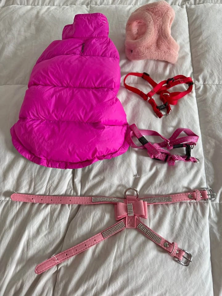 XS Girl Dog Lot, lots of Brand New items