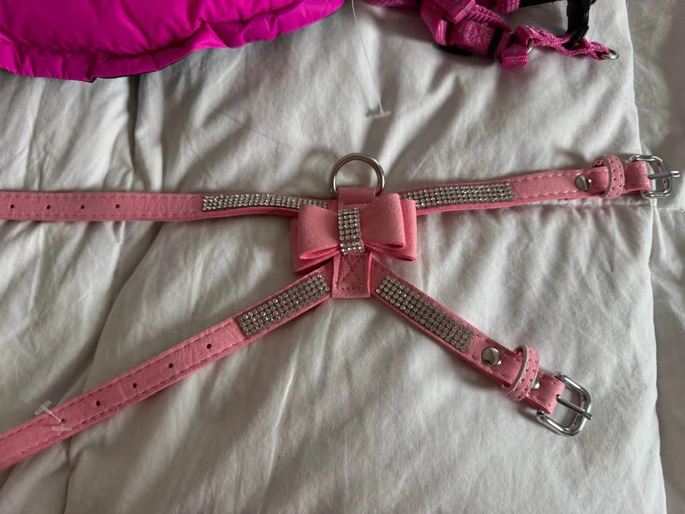 XS Girl Dog Lot, lots of Brand New items - photo 2