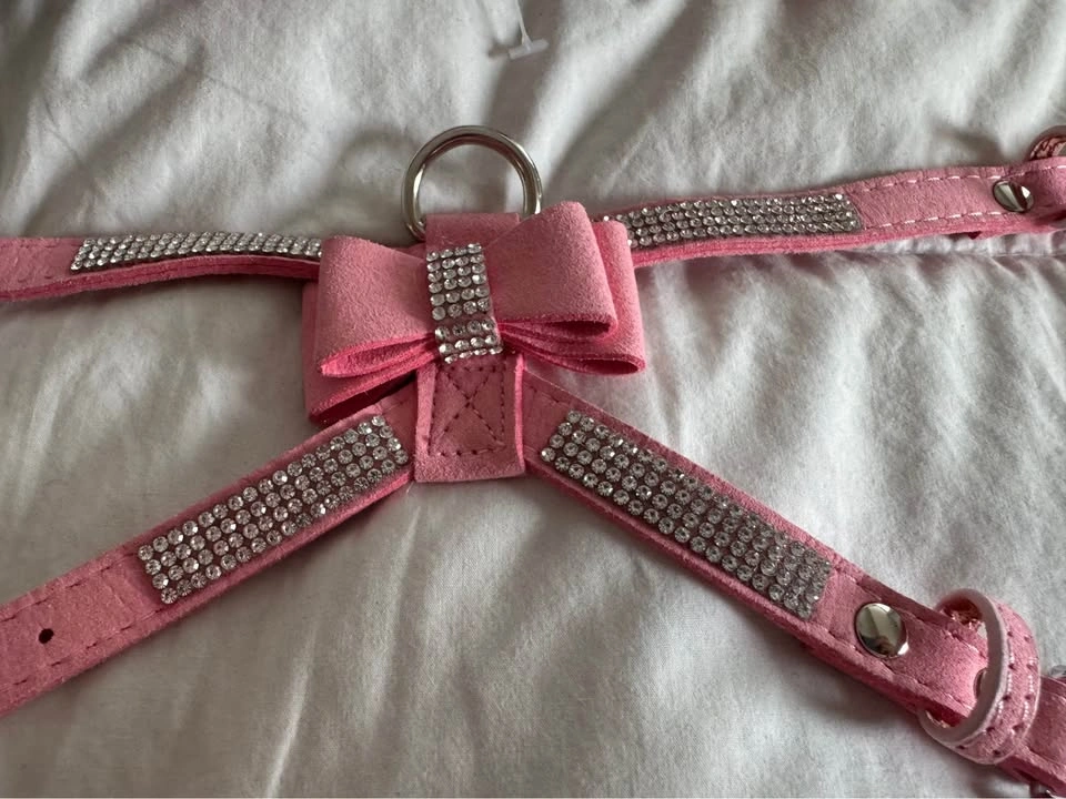 XS Girl Dog Lot, lots of Brand New items - photo 3