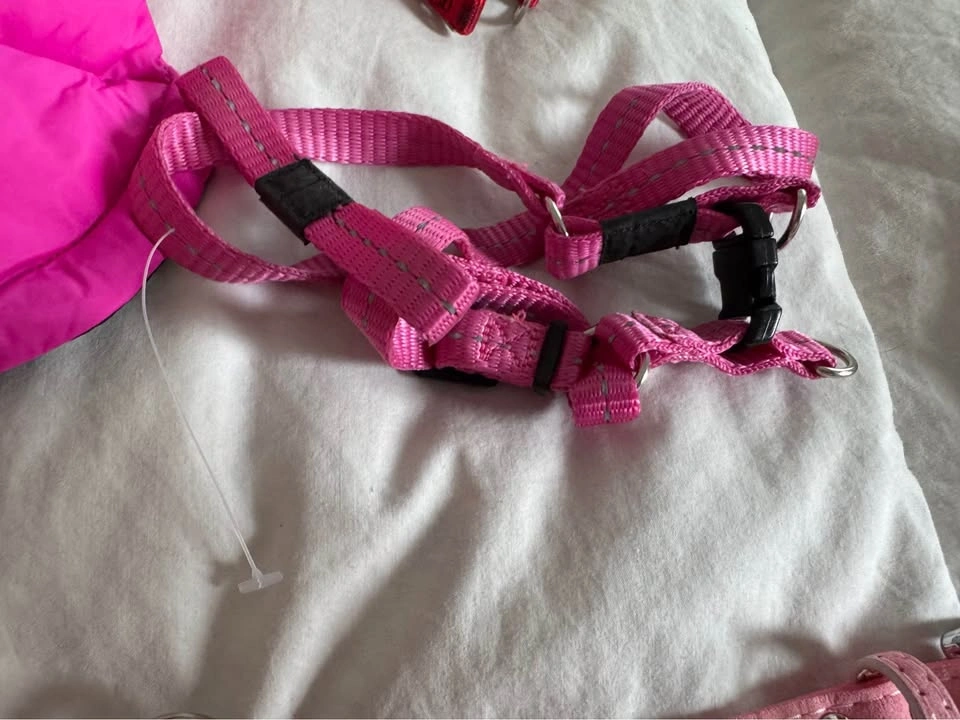 XS Girl Dog Lot, lots of Brand New items - photo 4